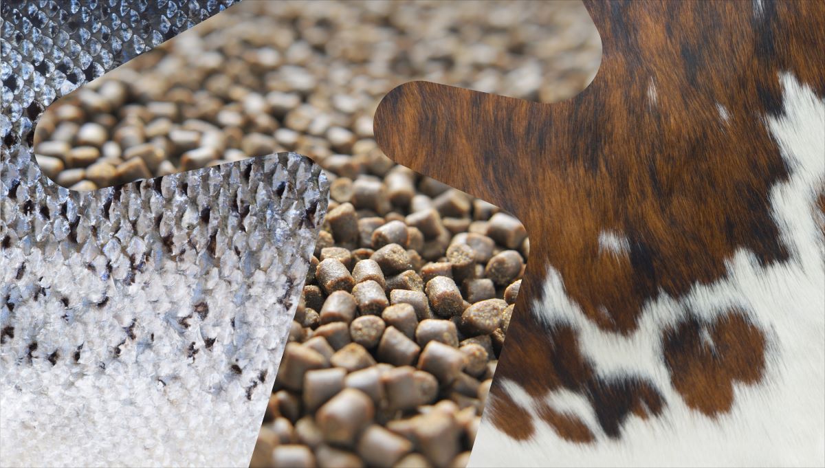 Illustrasjonsbilde satt sammen av lakse- og kuskinn samt billde av dyrefôrpellets